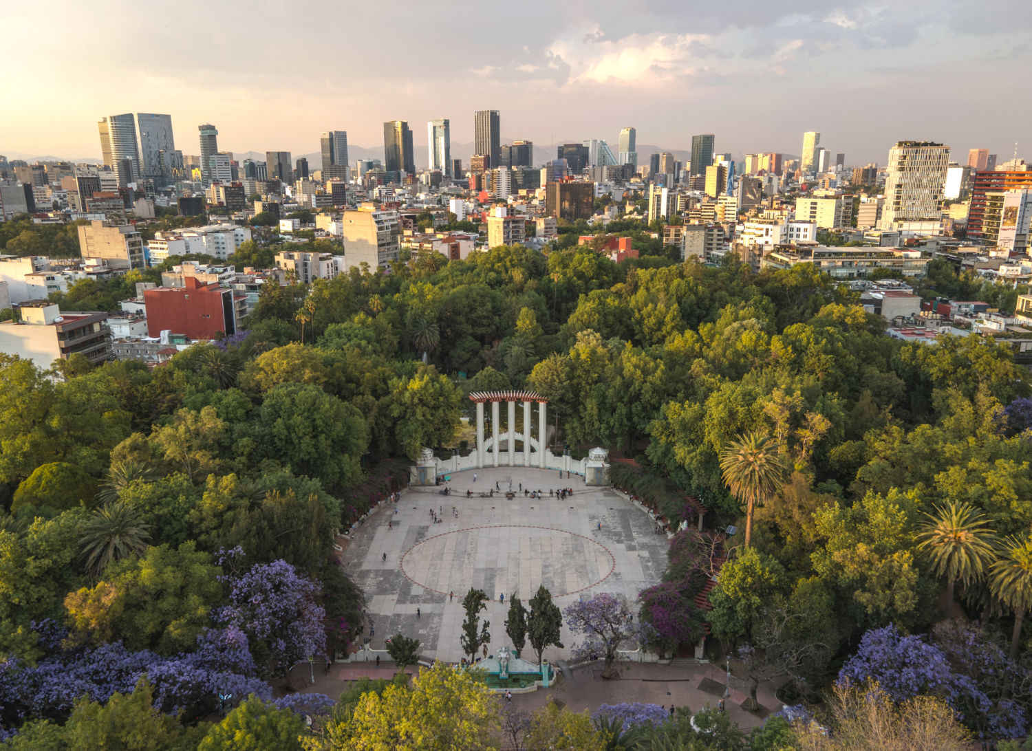 Codensa Cdmx 5 de los lugares más bonitos para ver jacarandas en la CDMX