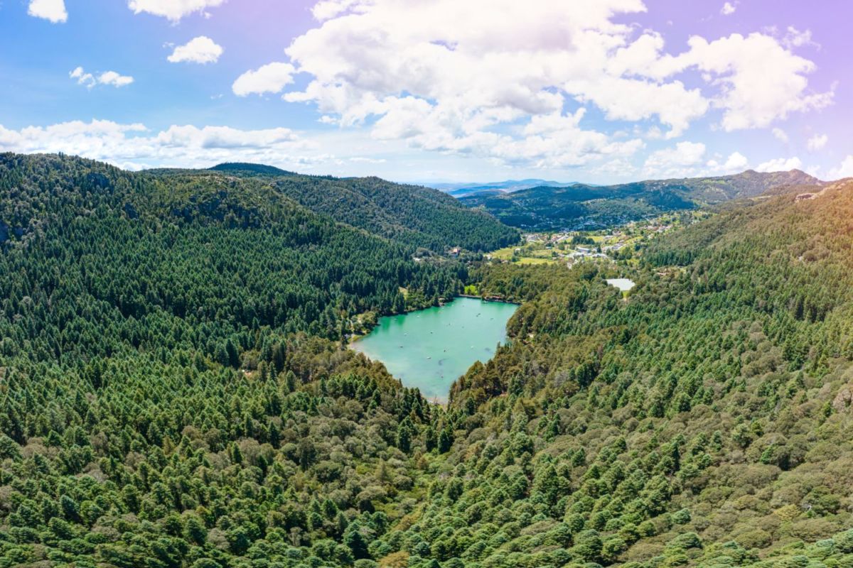 presa El Cedral