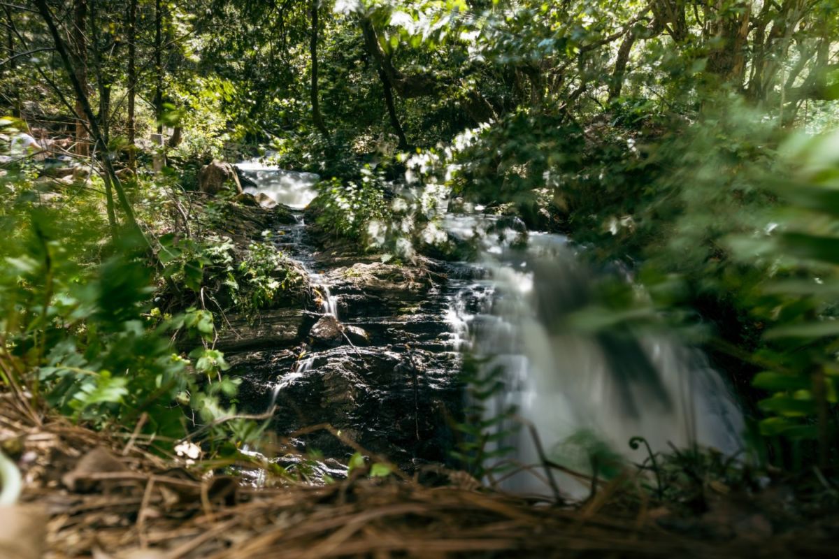 maravillas naturales sierra poblana