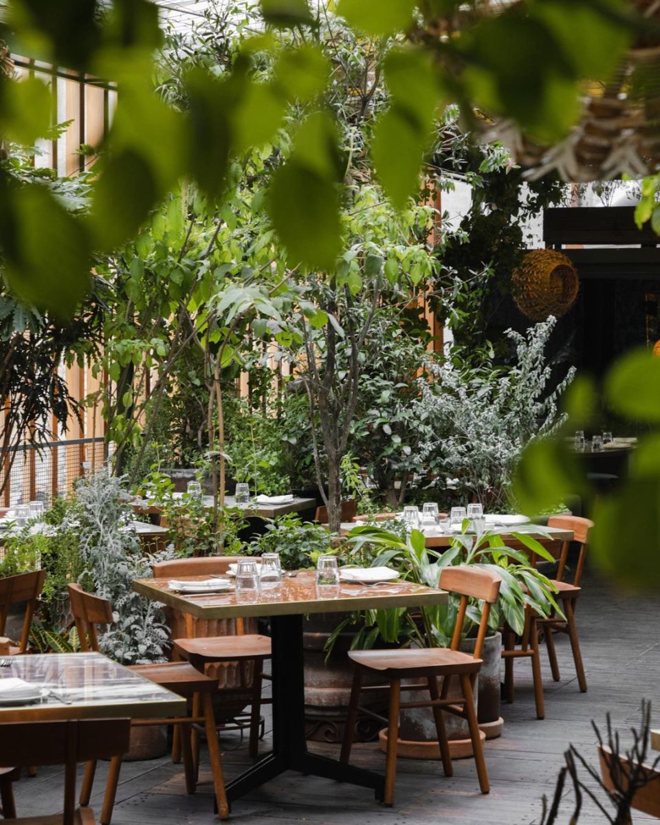 Los 8 patios más lindos de la CDMX para un cumpleaños al aire libre en abril 