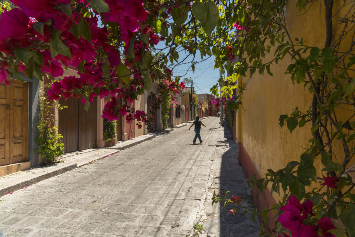 viñedos en tequisquiapan