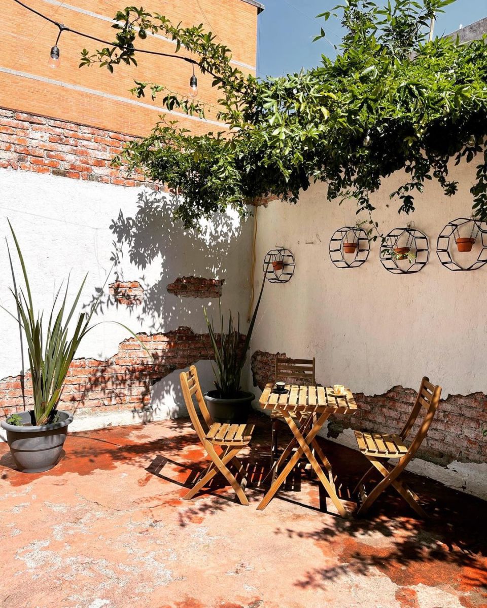Esta terraza llena de plantas en la colonia Popotla sirve la comida oaxaqueña más reconfortante