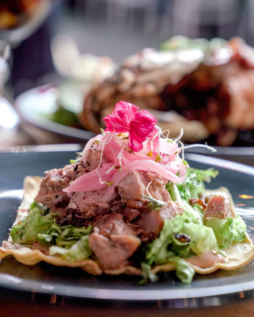 pescados y mariscos cdmx