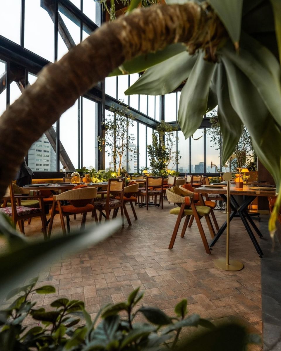 terrazas de comida mexicana