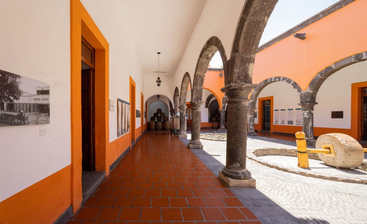 ruta del tequila jalisco