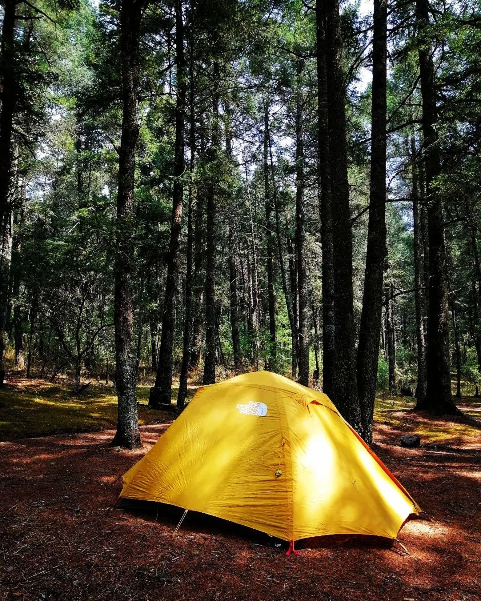 En este paraíso a 2 horas de la CDMX puedes acampar en medio del bosque y respirar aire puro