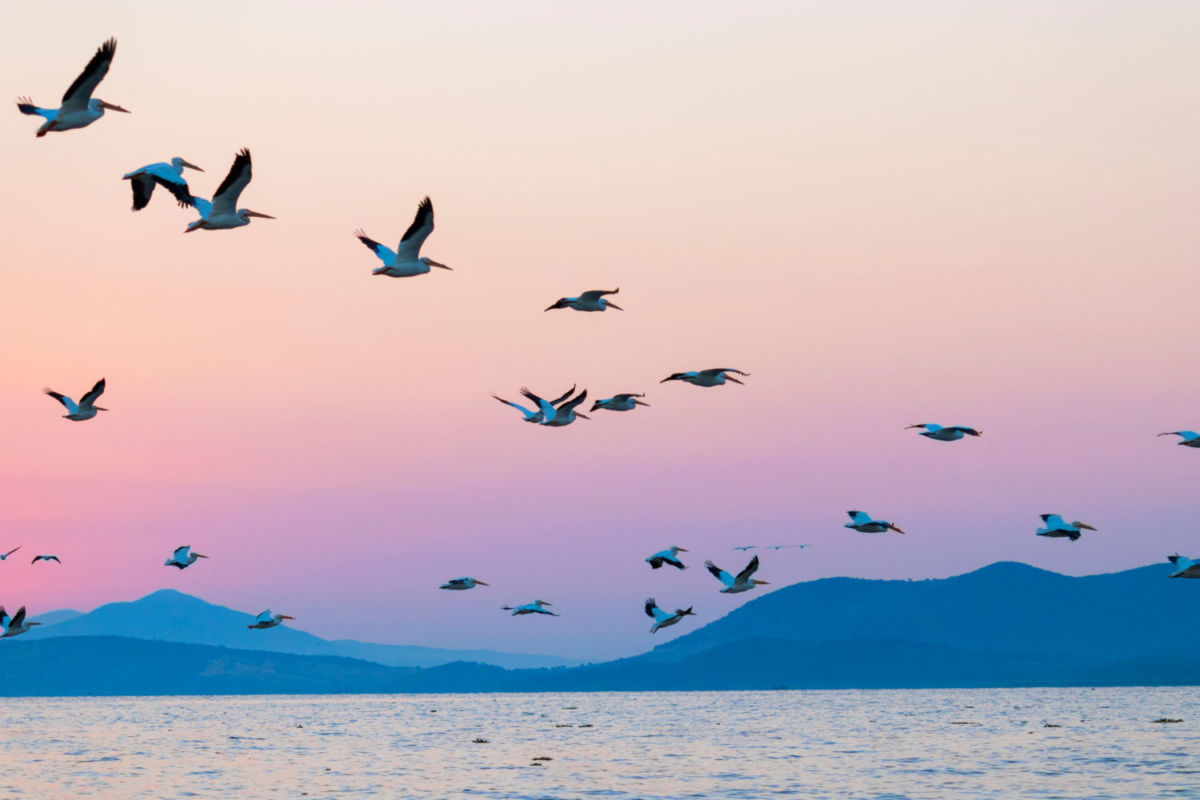 Lago de Chapala