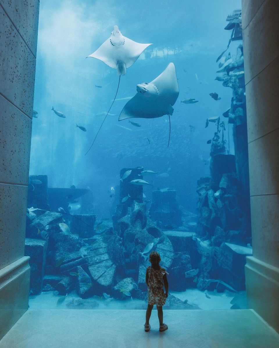 Atlantis Aquadventure