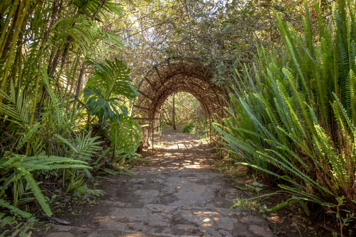Bosque de las Hadas: El destino que parece un sueño y jamás imaginaste que estuviera tan cerca 