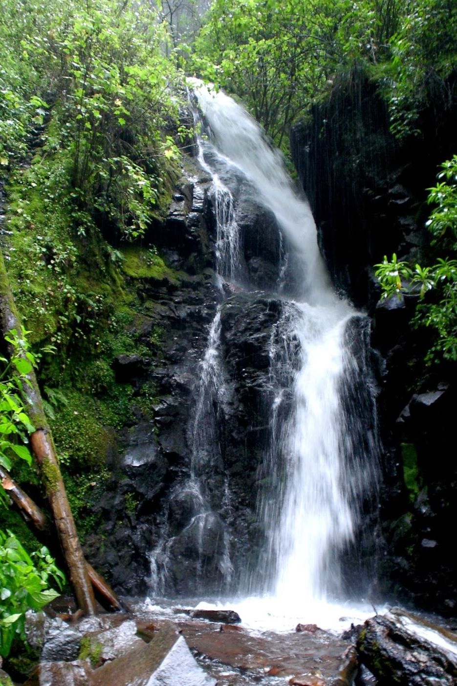 Cascadas cerca de la CDMX
