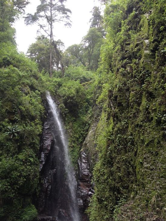 Cascadas cerca de la CDMX