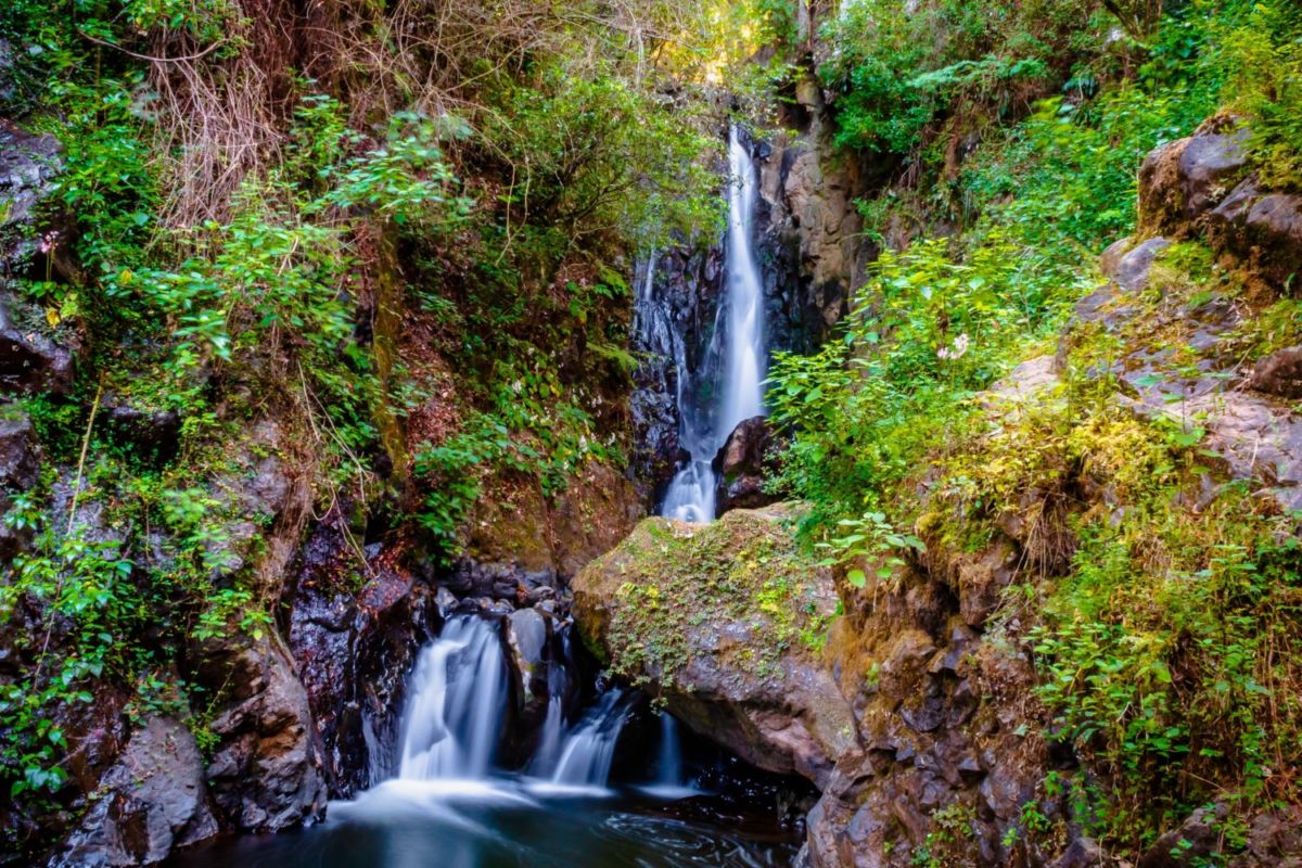 qué hacer durante la temporada de lluvias 