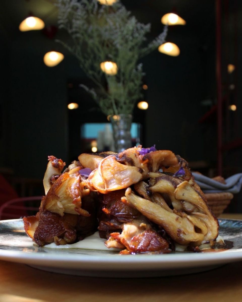 temporada de hongos en México