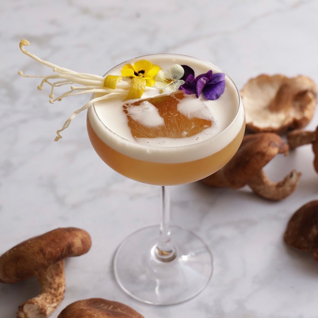 hongosto época de hongos 