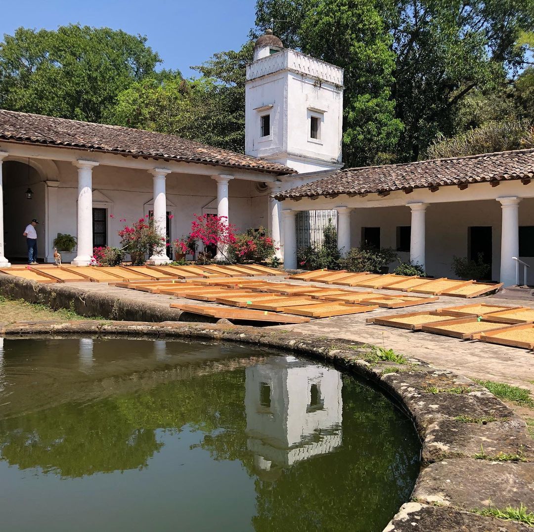 Tostado artesanal del café