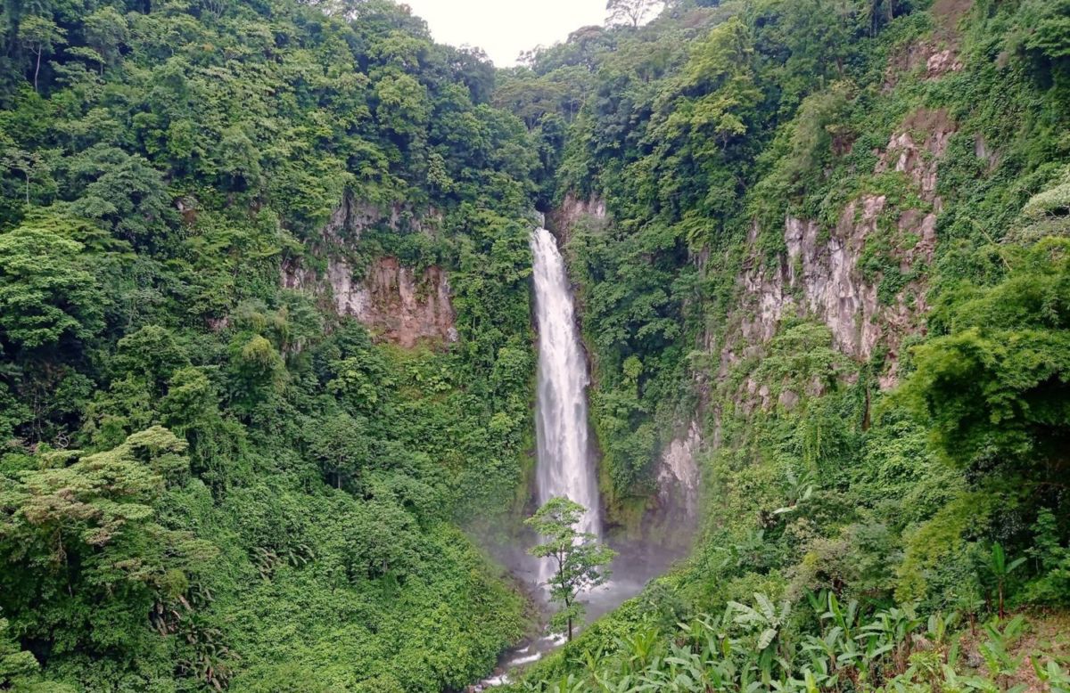 Hueytamalco, el pueblo de cascadas y montañas en Puebla (a 4 horas de la CDMX)