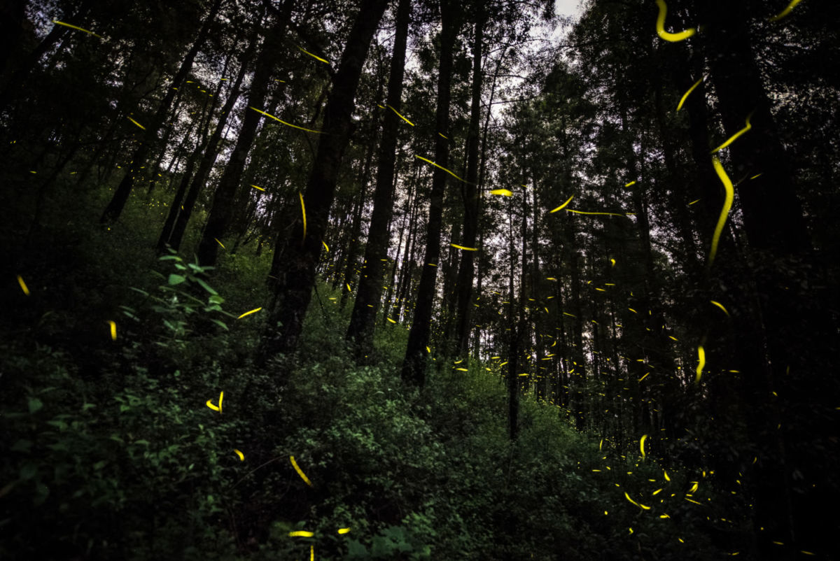 Lugares  para ver estrellas cerca de la CDMX