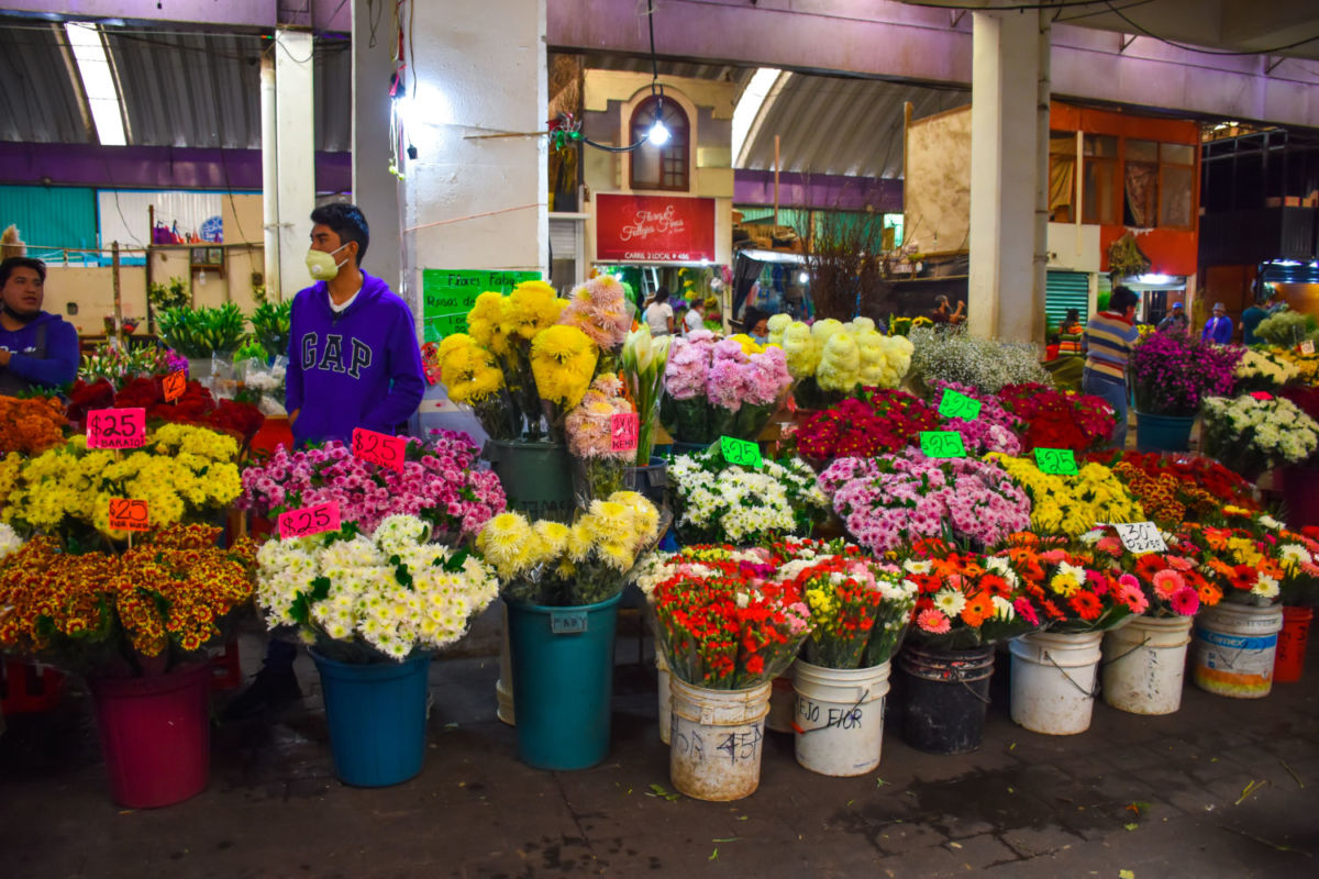 Mercado de Jamaica
