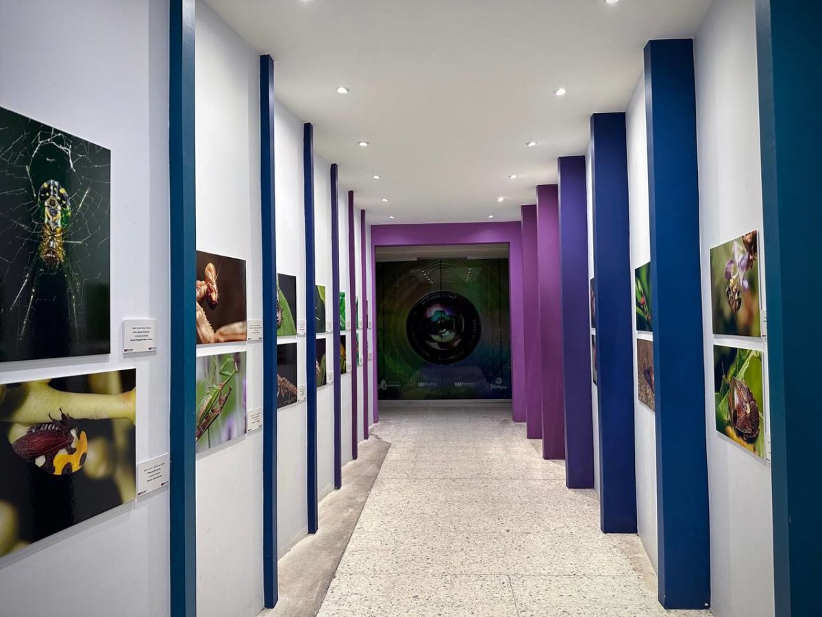 museos guadalajara