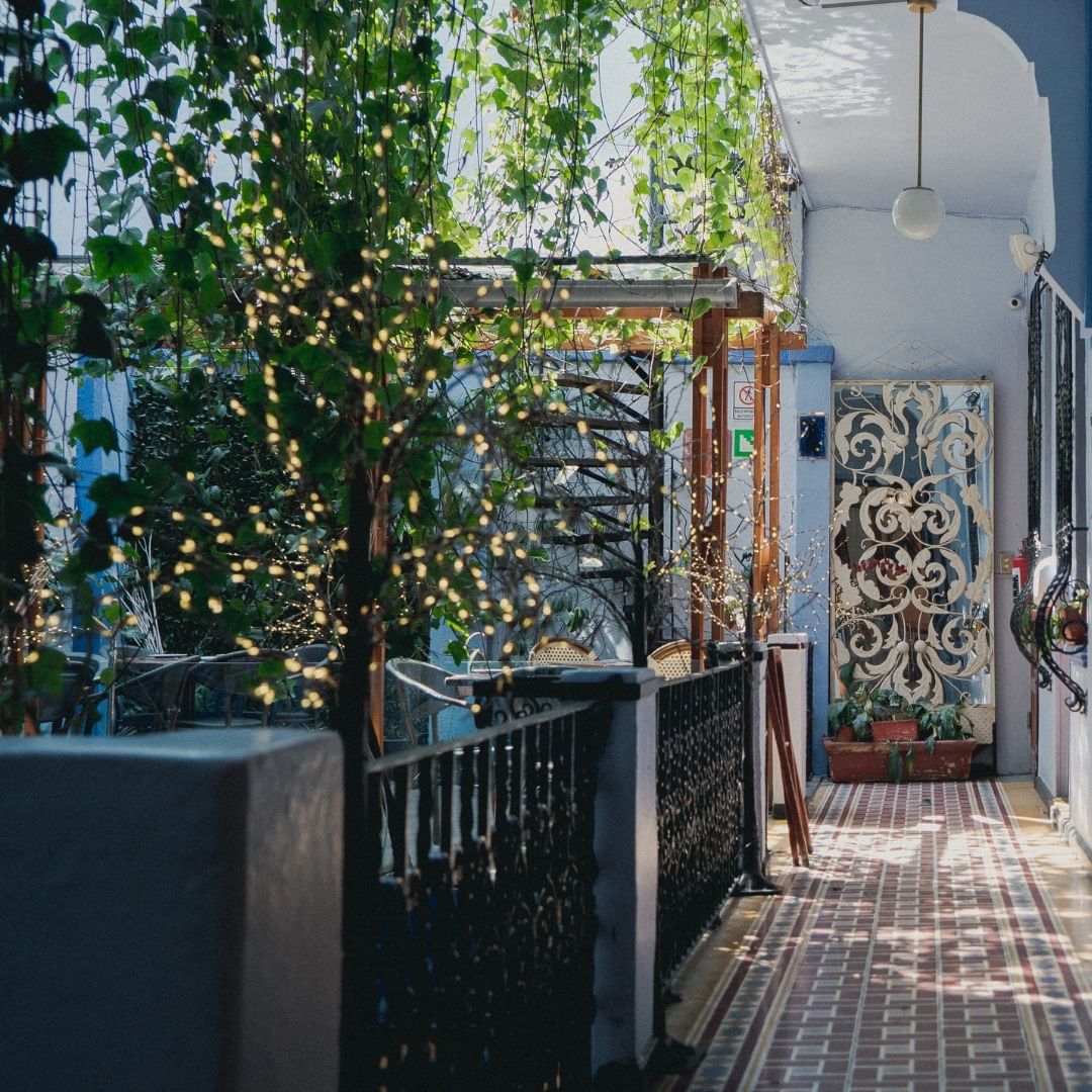 pasteles europeos cdmx