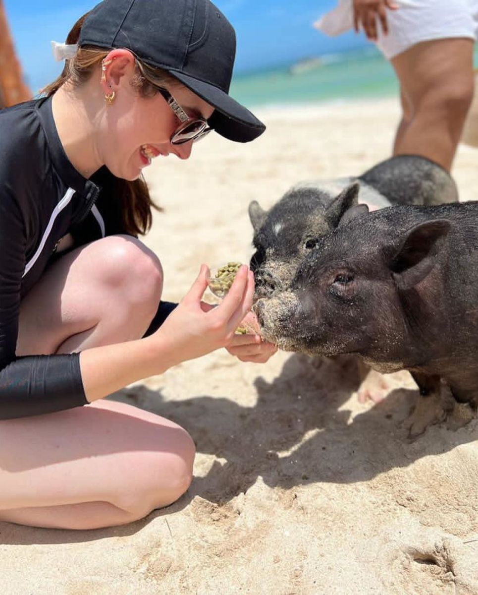 playa con cerdos en méxico