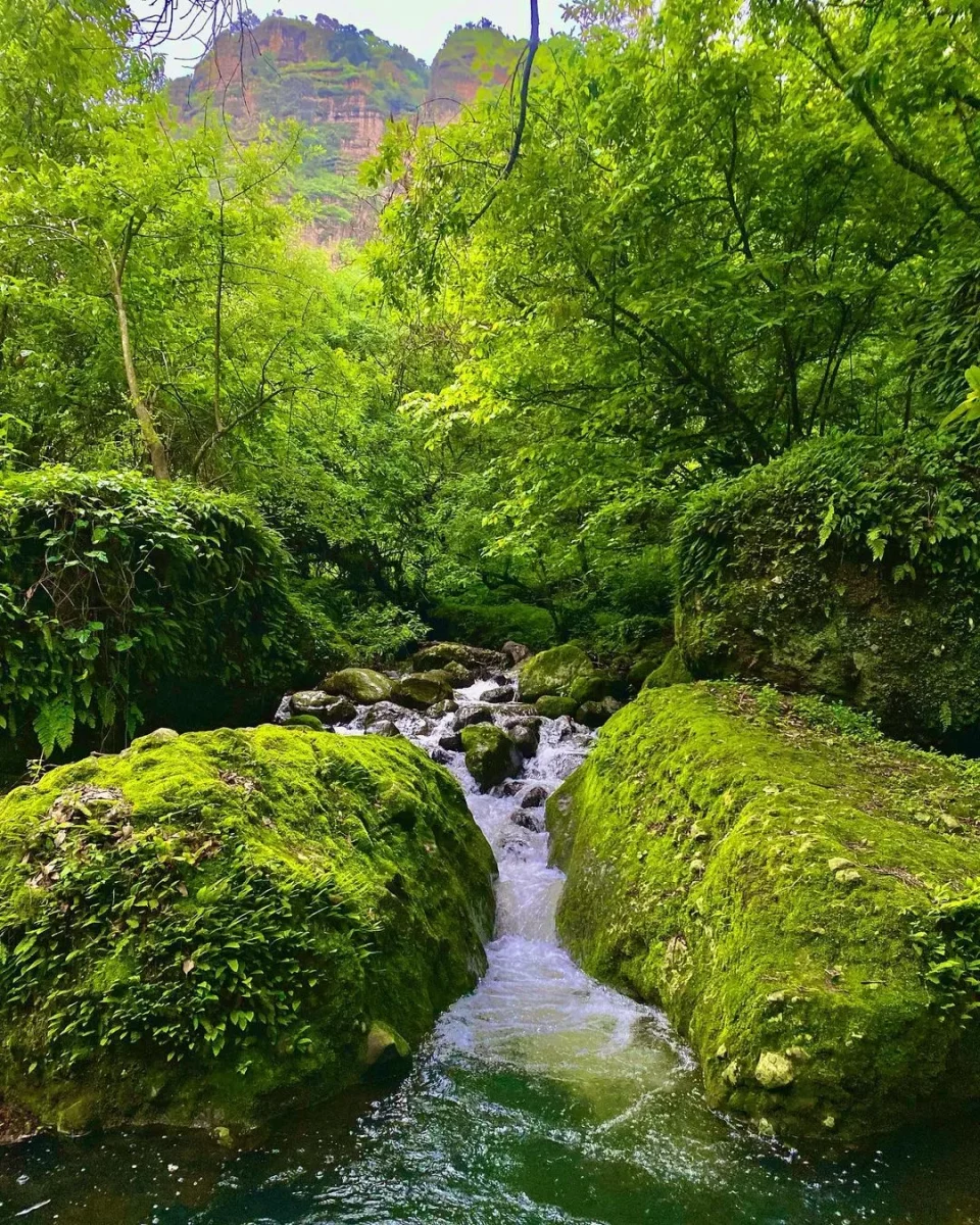 Cascadas cerca de la CDMX