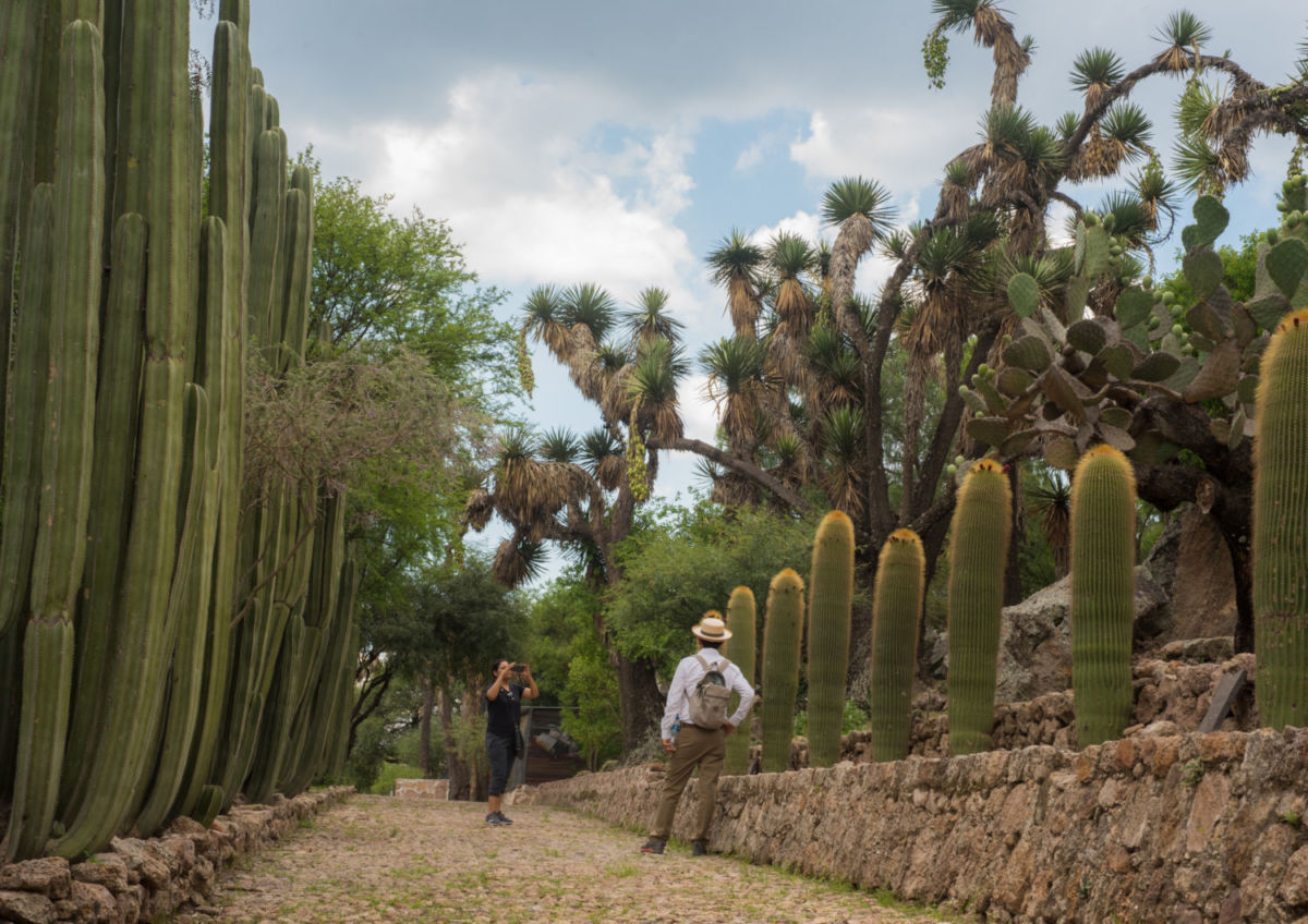 Jardín Botánico de Cadereyta