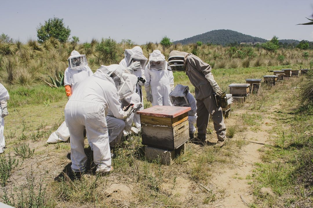 Apiturismo en Tlaxcala