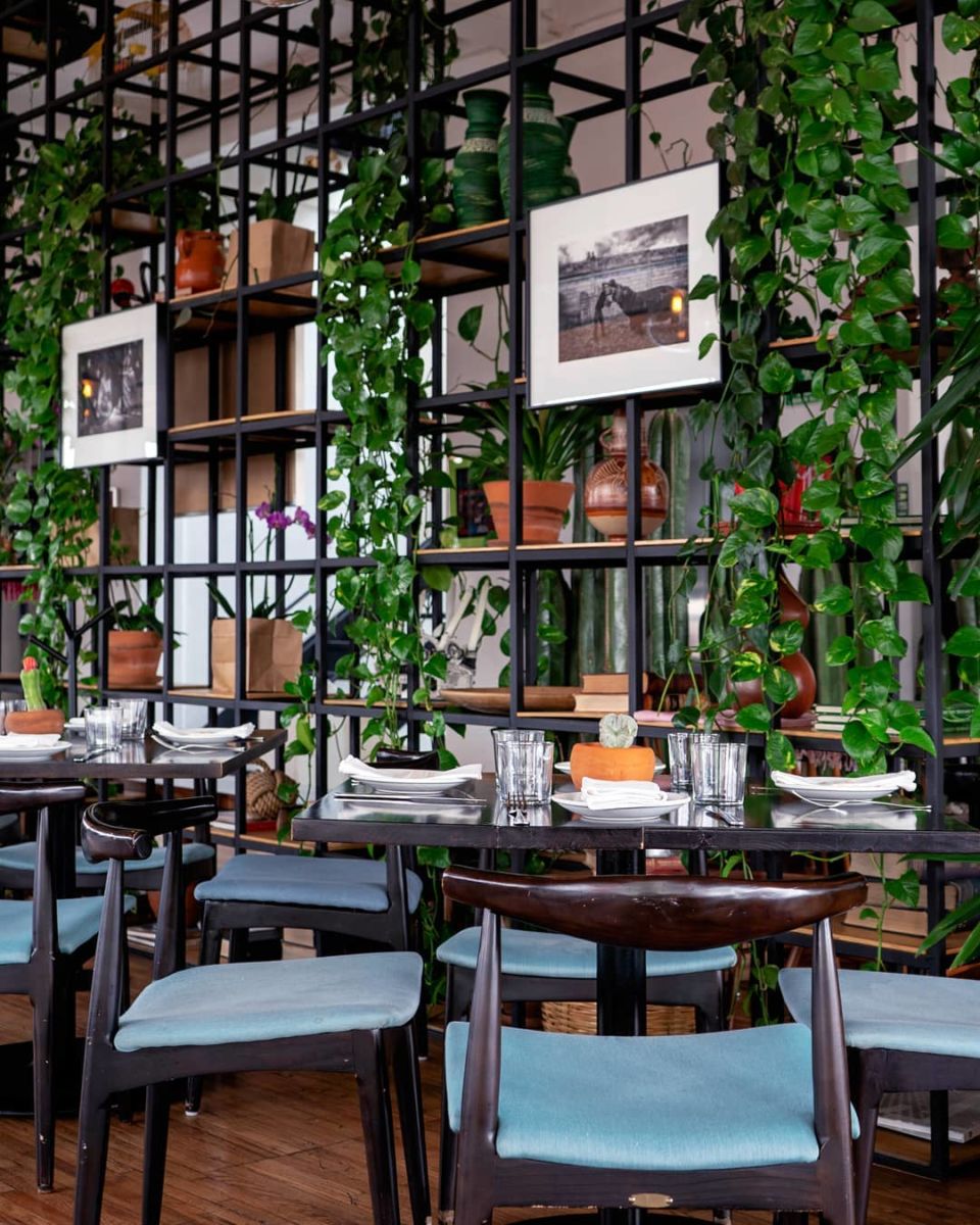 rooftop en colonia Tabacalera 