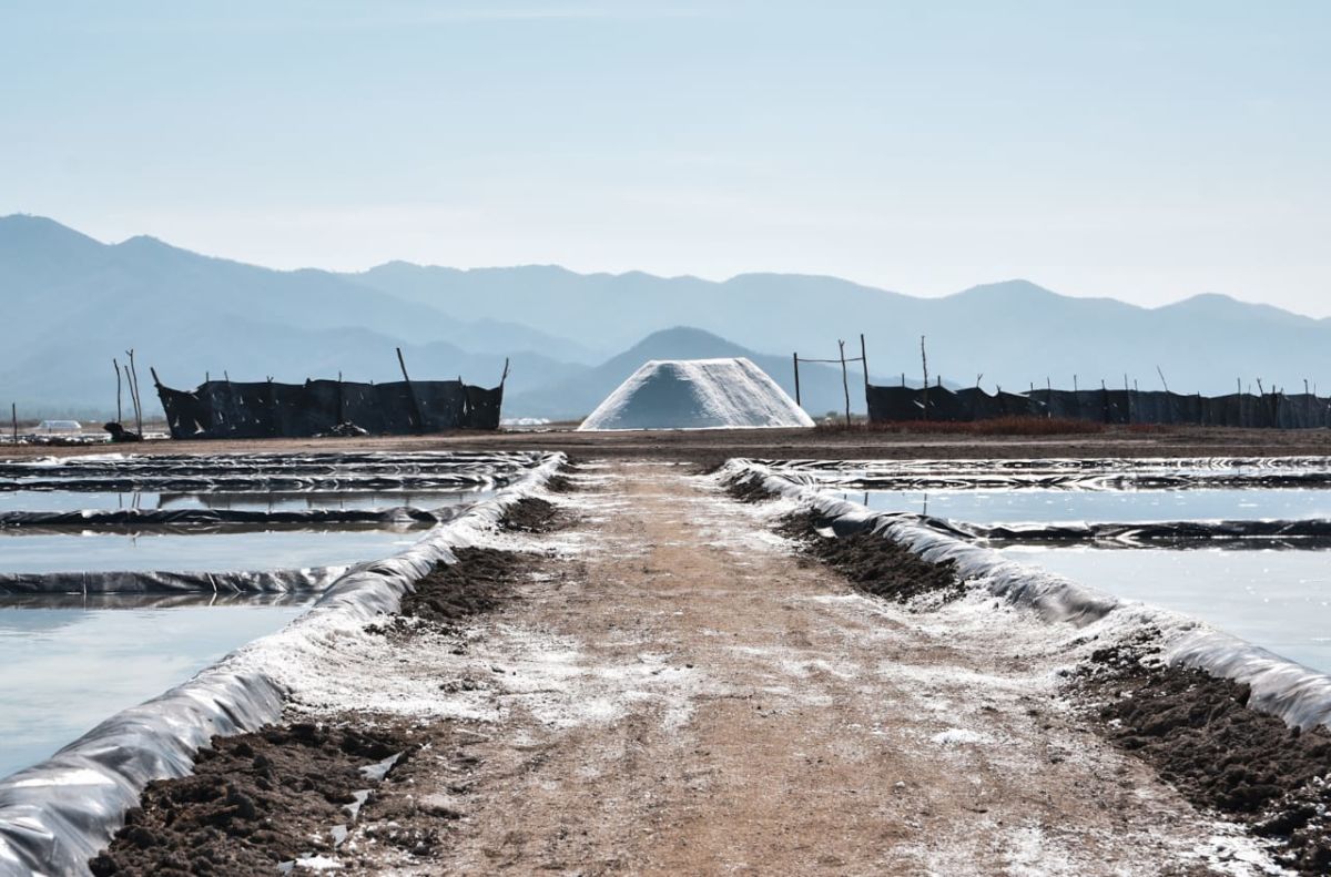 Producción de sal en colima
