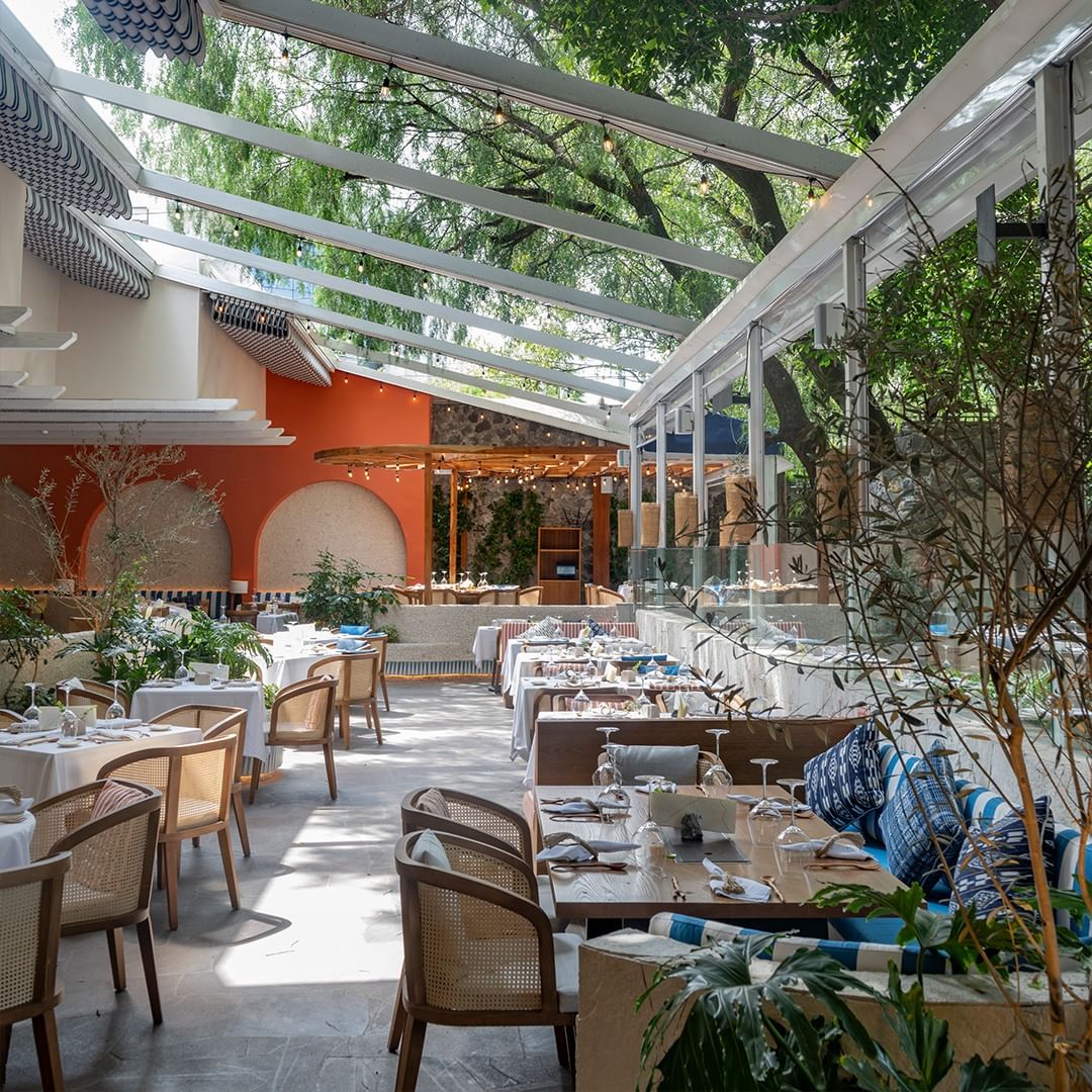 terraza en san angel