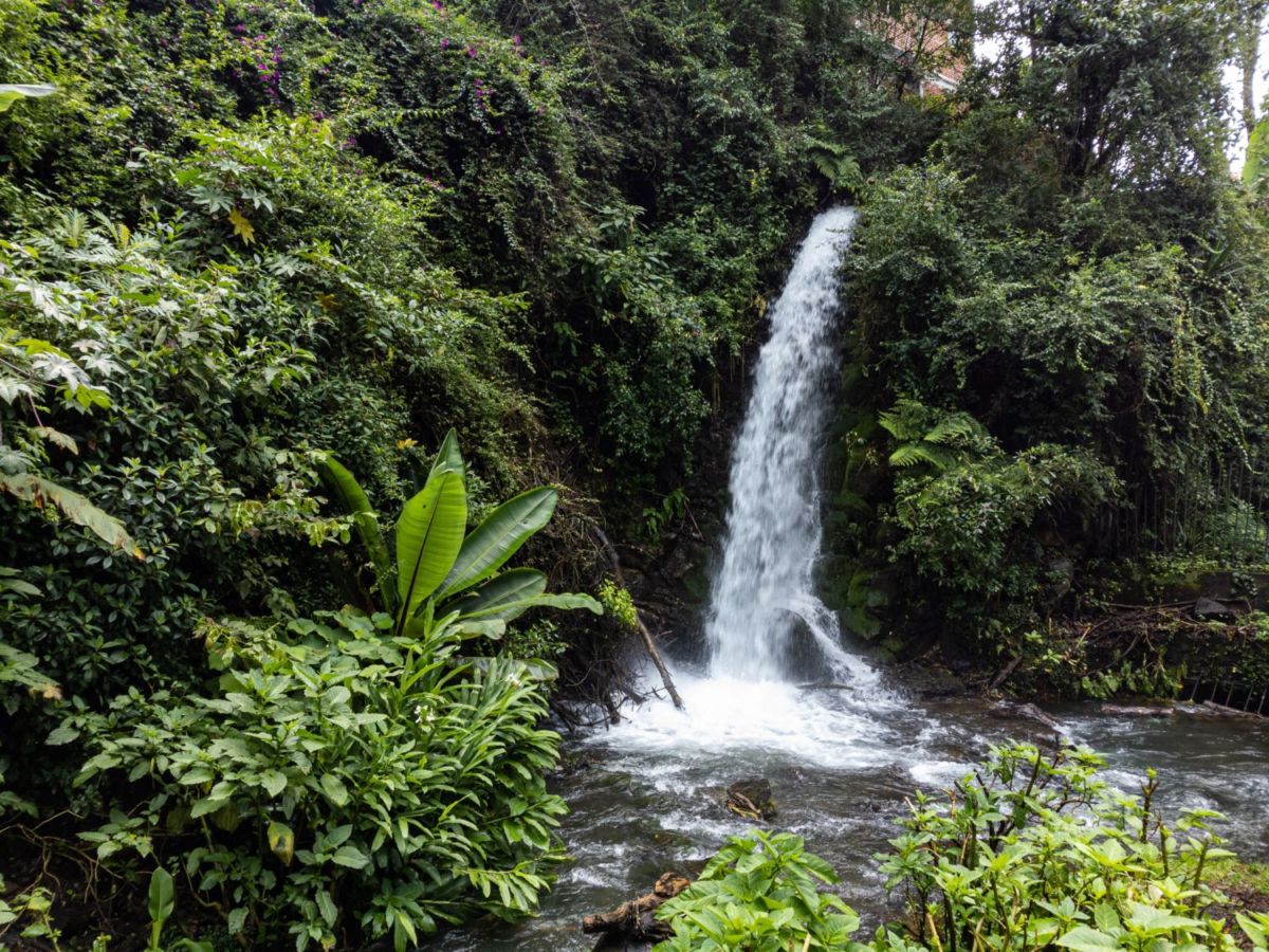 Cascadas cerca de Uruapan