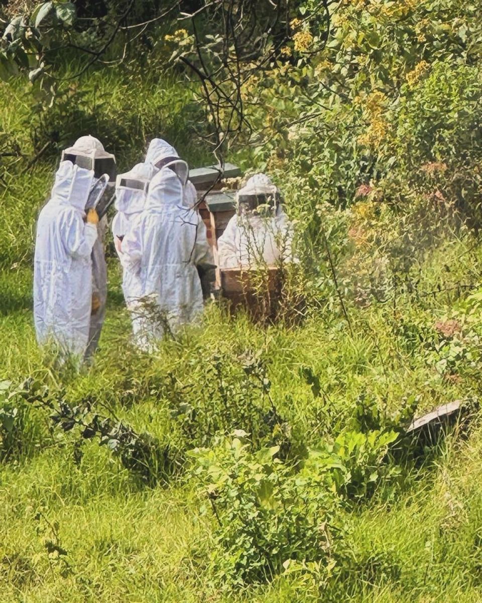 Talleres en Mil Huertas