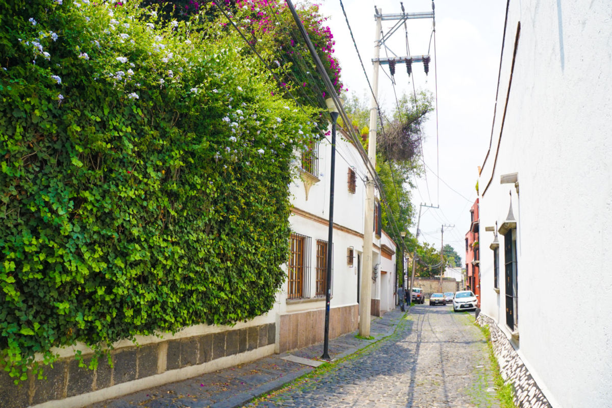 Calle adoquinada de la Colonia San Ángel en la CDMX