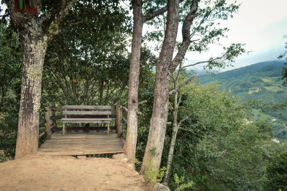 Miradores en Capulálpam