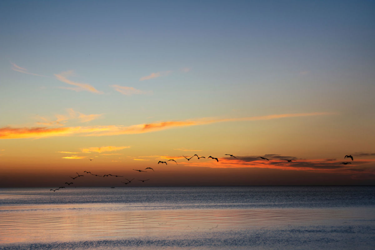 Playas de Campeche