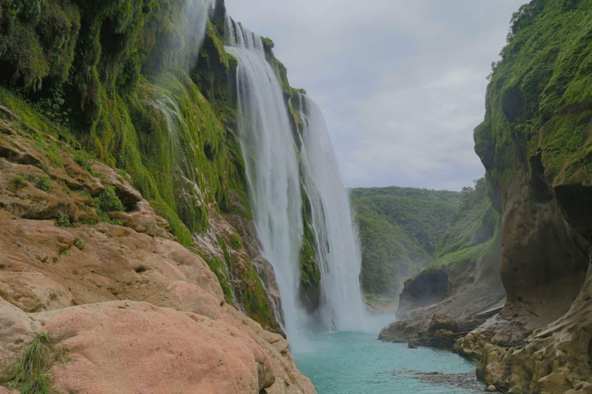 bolsas de caballo en México