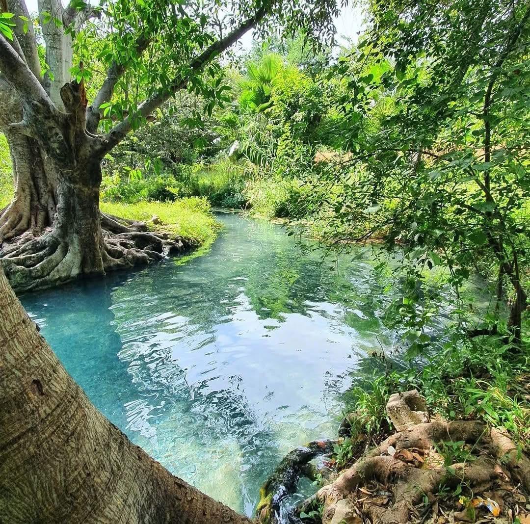 Agua turquesa en los manantiales de Concá en Querétaro