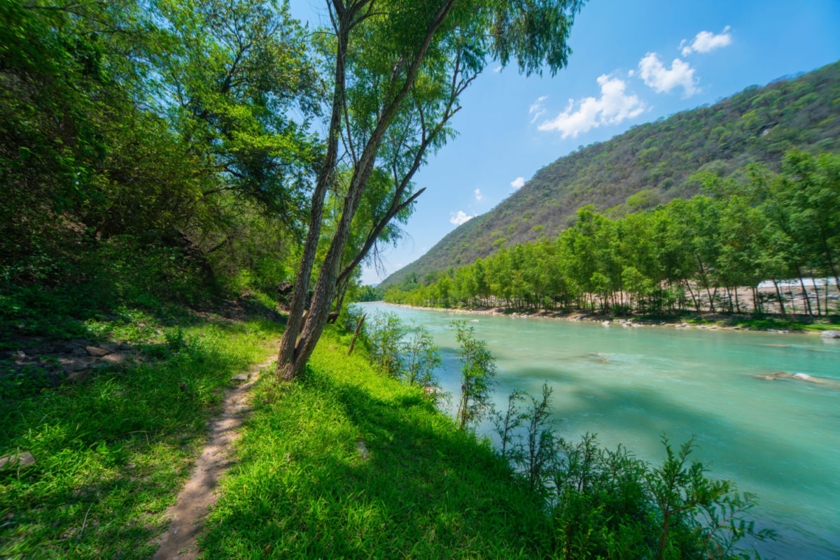 Concá: El pueblito lleno de manantiales y árboles milenarios que casi nadie conoce en Querétaro