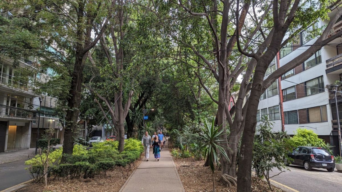 Calle de Ámsterdam en la Condesa