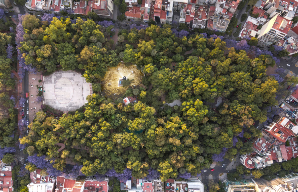 Vista aérea del Parque México y la calle de Ámsterdam