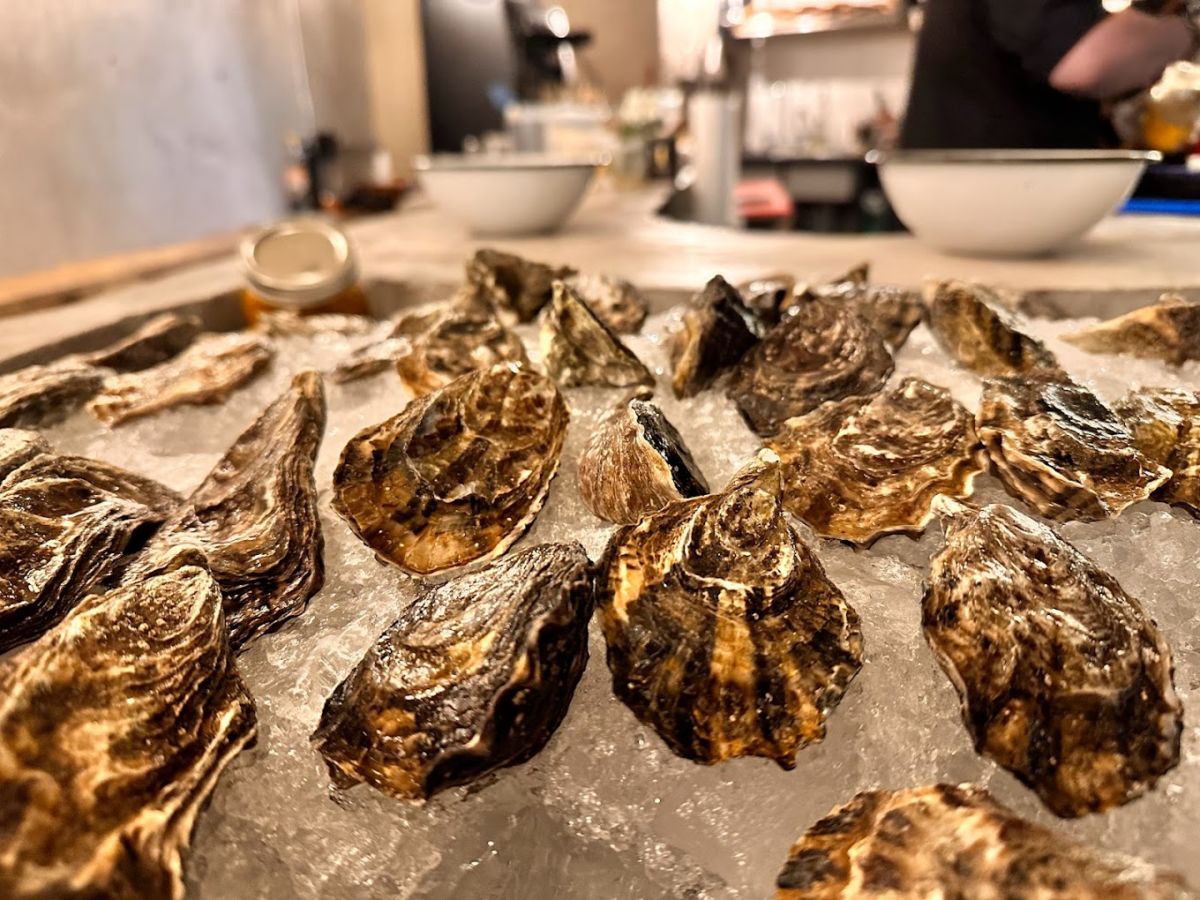 Cutre: el bar de ostras que está en la Cuauhtémoc pero te hace sentir en la playa