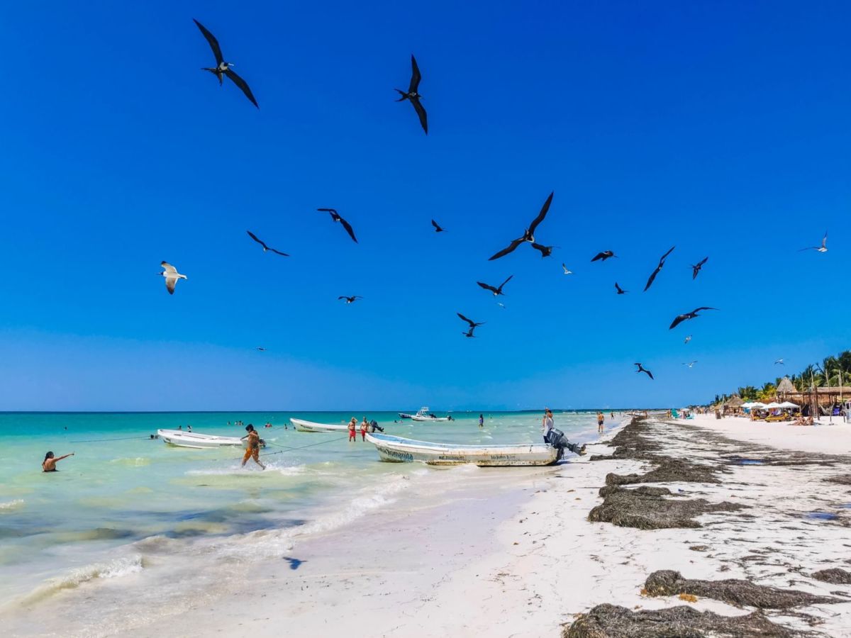 Holbox