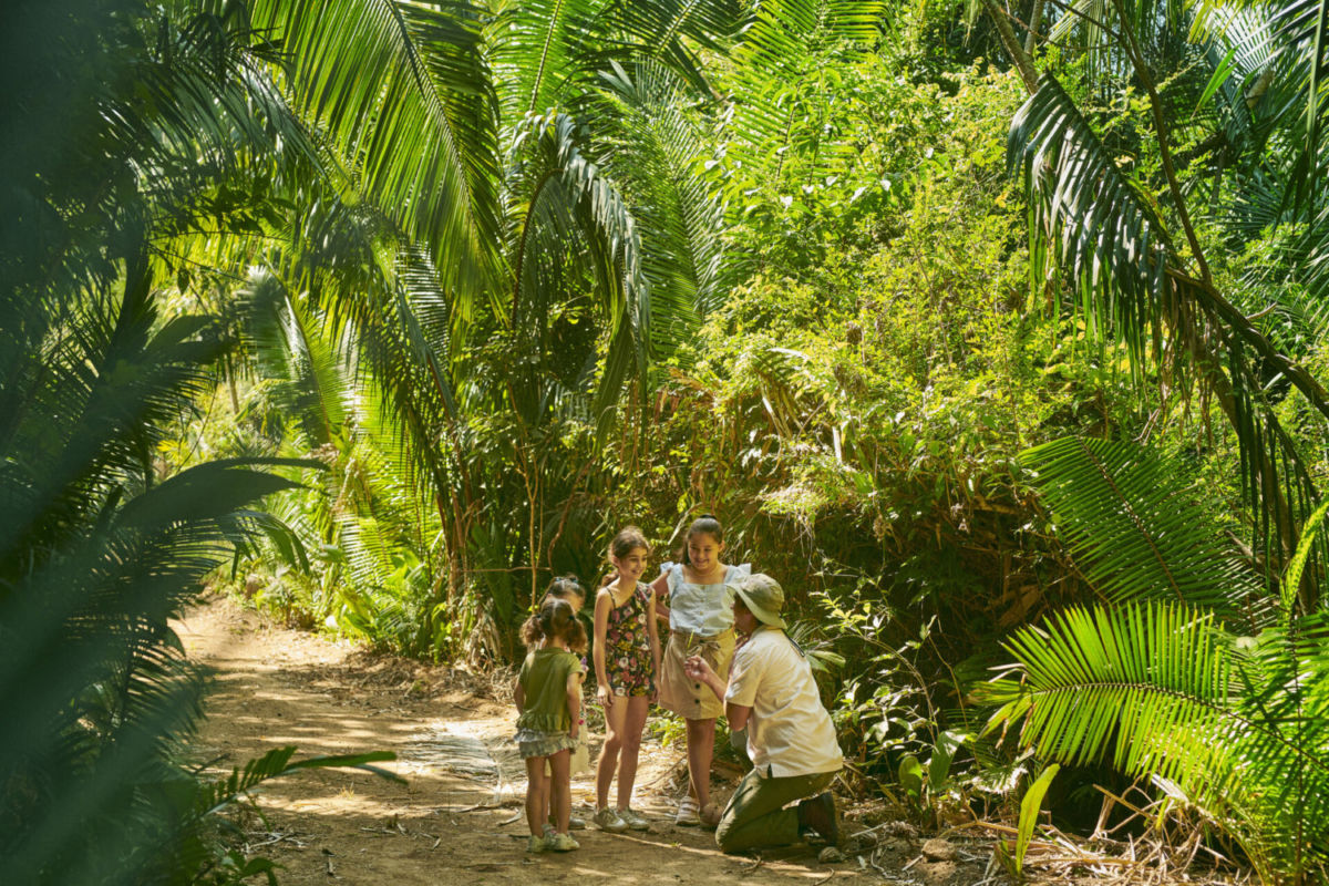Caminata etnobotánica para infancias