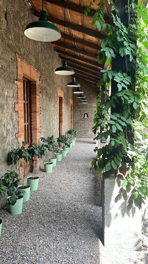 galería de arte pedro Alvarez