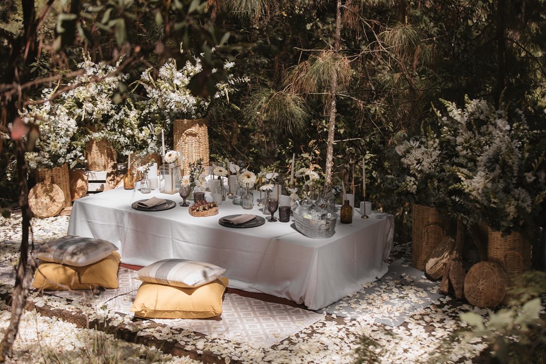 Picnic en el bosque