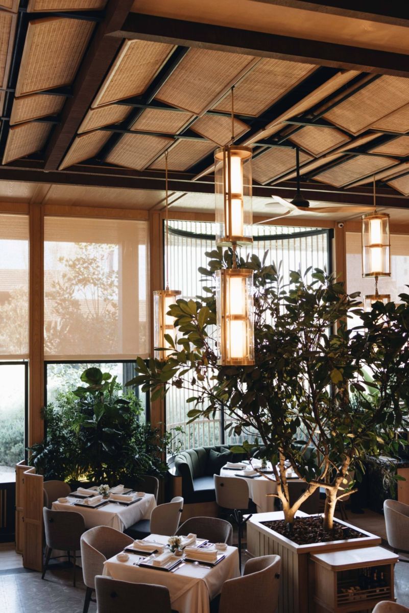 Restaurantes en Satélite