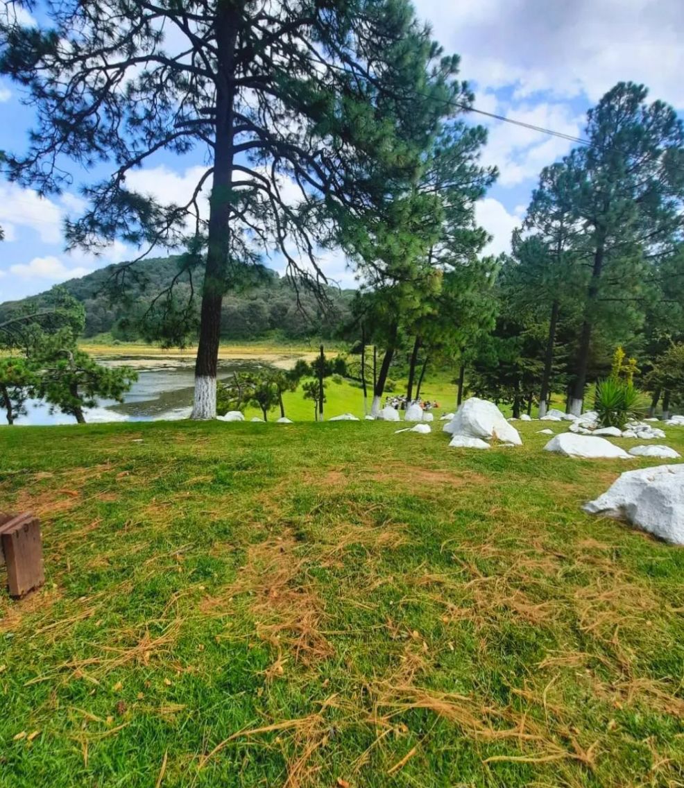 Lugares con aire fresco cerca de CDMX