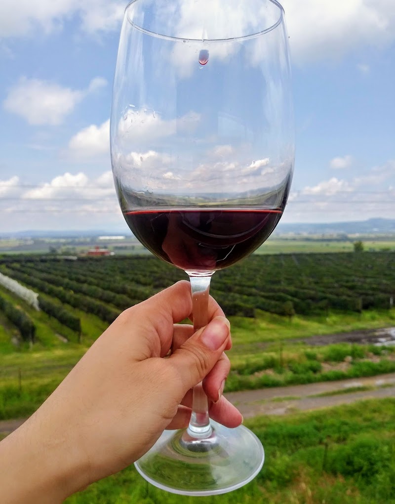 Bodega El Lobo jalpa de canovas