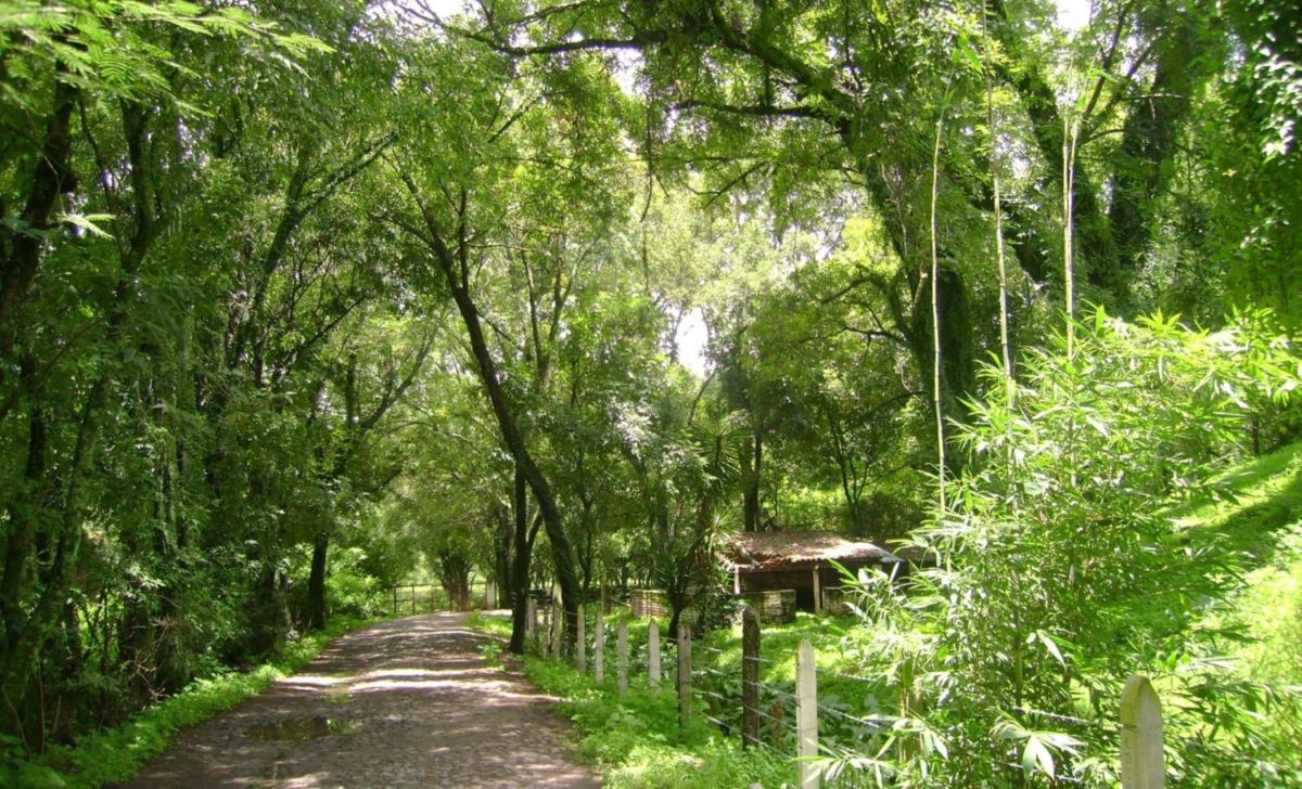 La Nogalera jalpa de canovas